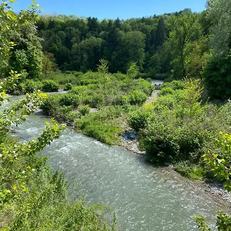 River With Amazing View + Jacuzzi, Garden, Forest Access * Vétraz-Monthoux